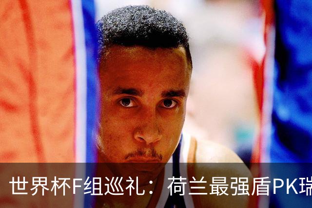 世界杯F组巡礼：荷兰最强盾PK瑞典犀利刀 日本短板明显