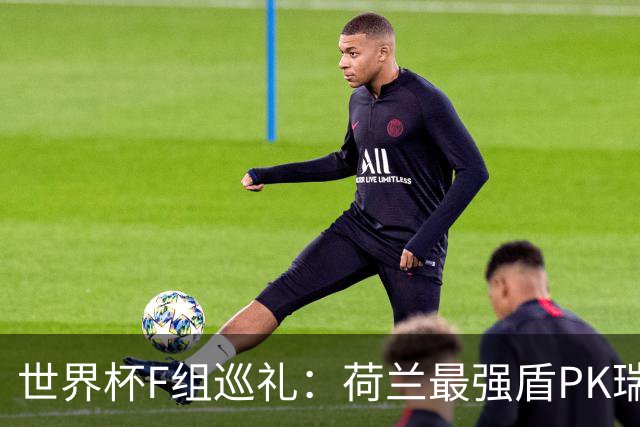 世界杯F组巡礼：荷兰最强盾PK瑞典犀利刀 日本短板明显